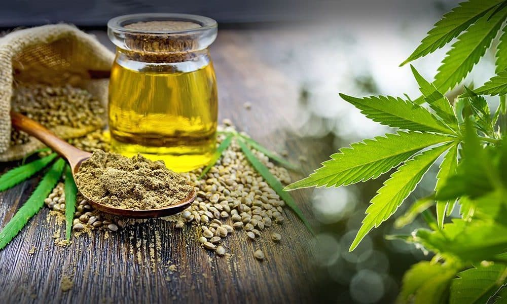 Le cannabis cbd contre la maladie de lyme
