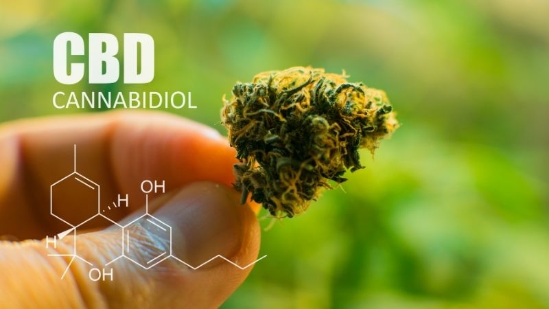 Est-ce que le CBD est une drogue ?